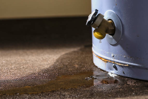 Best Water damage cleanup near me  in Columbus, MT