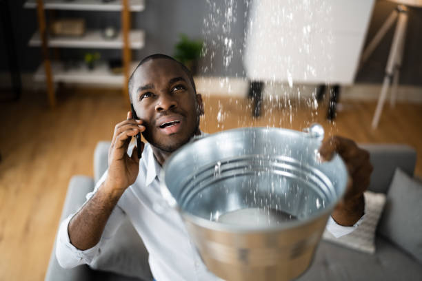Best Sewage cleanup and water damage restoration  in Columbus, MT