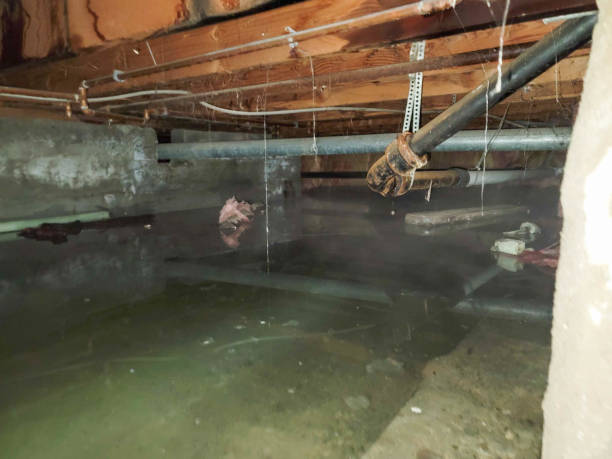 Best Water damage restoration near me  in Columbus, MT