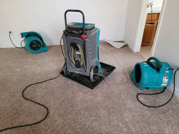 Best Water damage contractors near me  in Columbus, MT