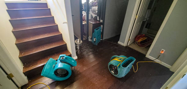 Best Mold removal after water damage  in Columbus, MT