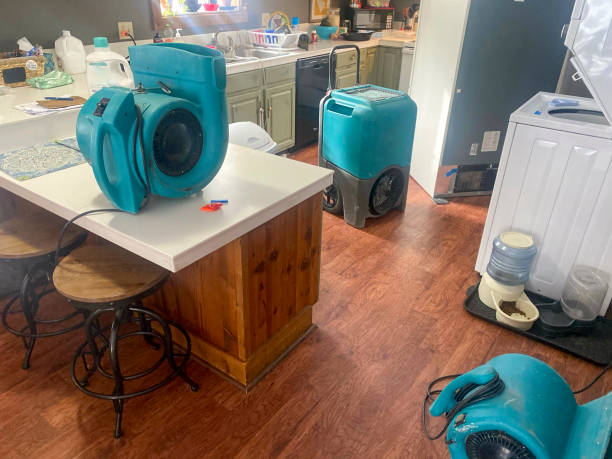 Best Fire Damage Restoration  in Columbus, MT