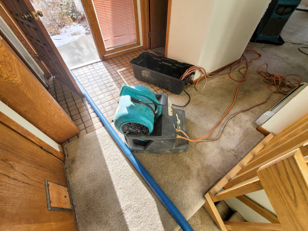 Water damage restoration insurance claims in Columbus, MT