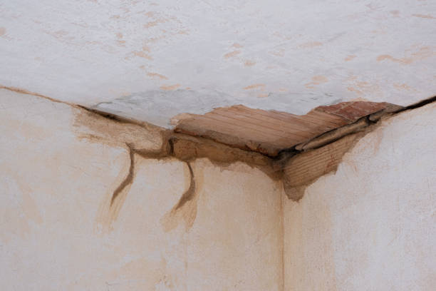Best Commercial water damage restoration  in Columbus, MT