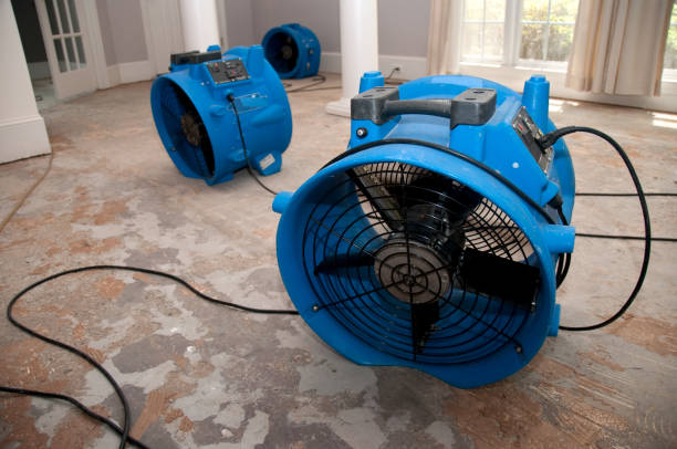 Best Basement water damage restoration  in Columbus, MT