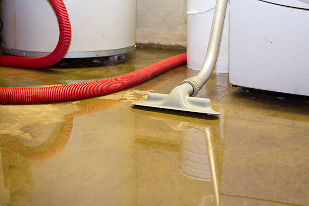 Best Water damage repair service  in Columbus, MT
