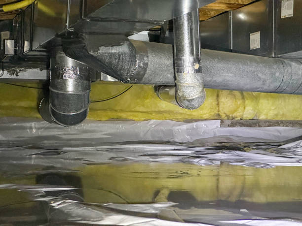 Best Flood damage cleanup  in Columbus, MT