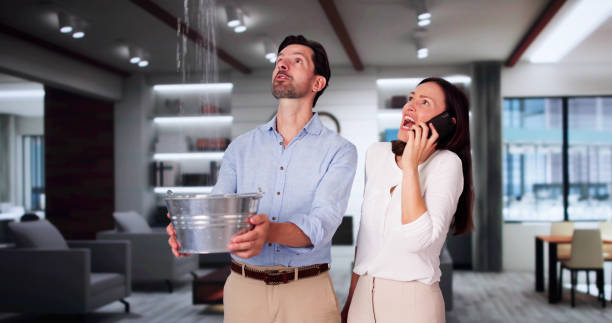 Best Professional water damage repair  in Columbus, MT