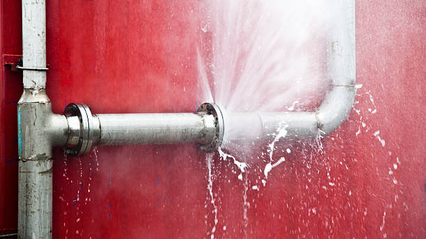 Best Flood damage cleanup  in Columbus, MT